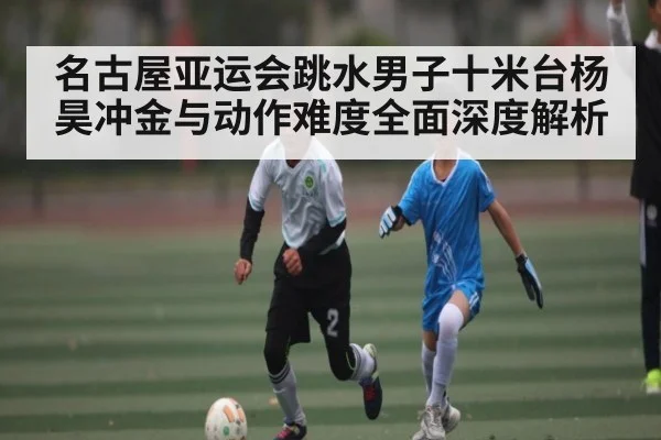 名古屋亚运会跳水男子十米台杨昊冲金与动作难度全面深度解析（kaiyun）