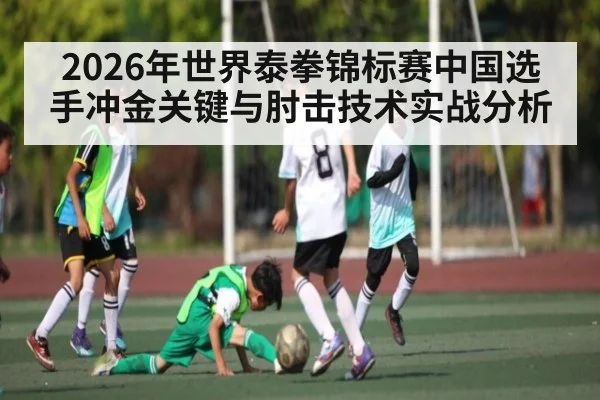 2026年世界泰拳锦标赛中国选手冲金关键与肘击技术实战分析（kaiyun）